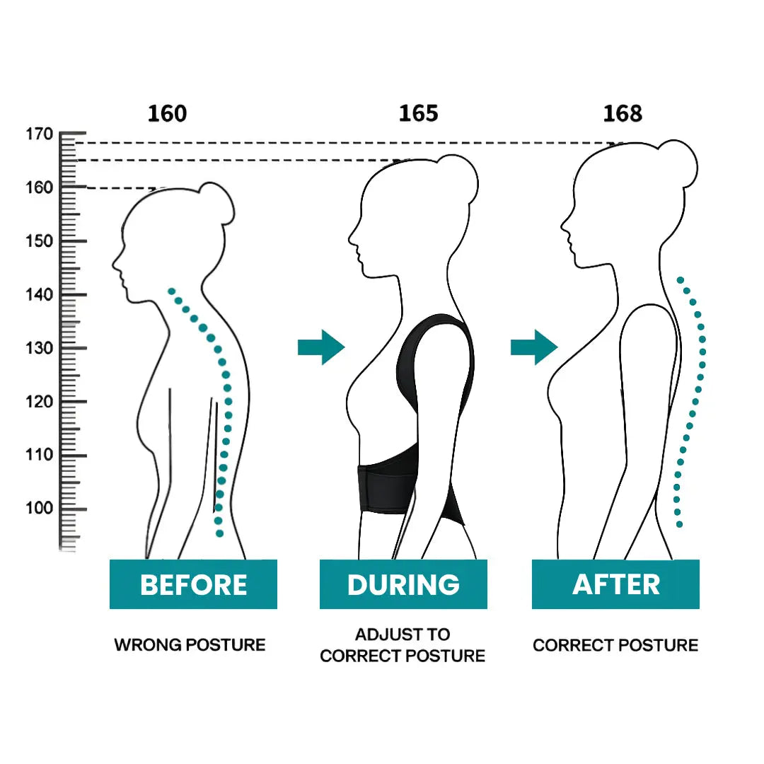 posture improvement in three stages: before, during, and after correction, with visible height increase